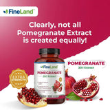 FineLand Pomegranate Extract capsules in a clear container