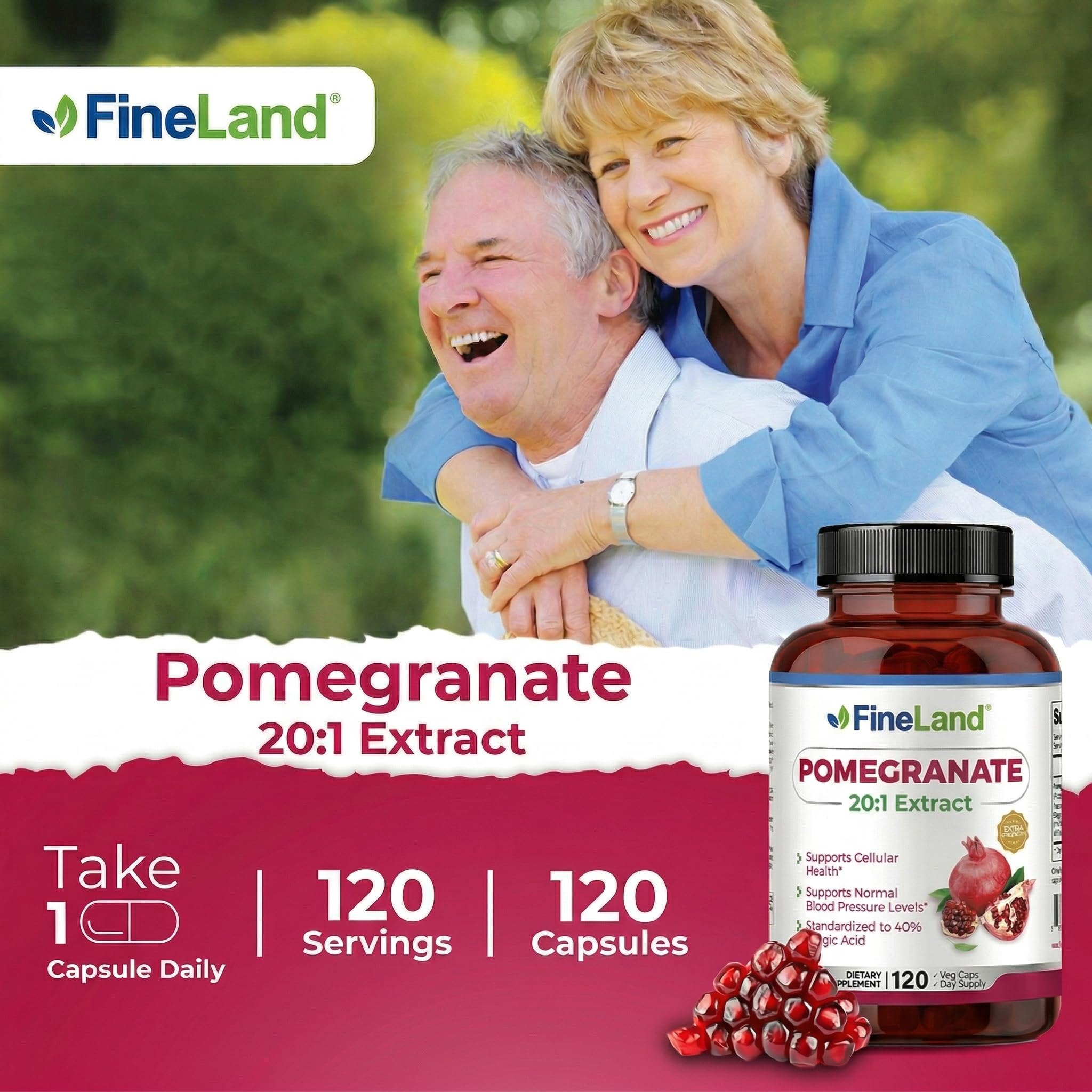 FineLand Pomegranate Extract capsules in a hand