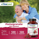 FineLand Pomegranate Extract capsules in a hand