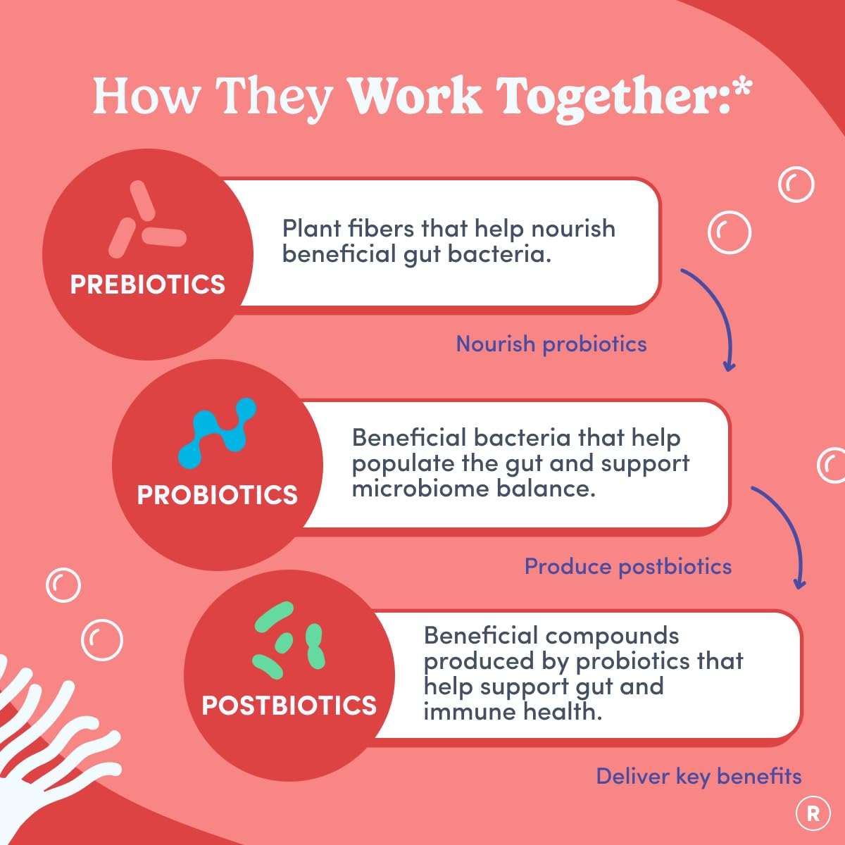 FIRST DAY 3-in-1 Tribiotic Gummies ingredients list