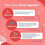 FIRST DAY 3-in-1 Tribiotic Gummies ingredients list