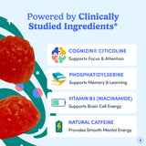 FIRST DAY Choline Gummies nutritional information on packaging