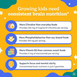 FIRST DAY Kids Brain Gummies ingredients list on packaging