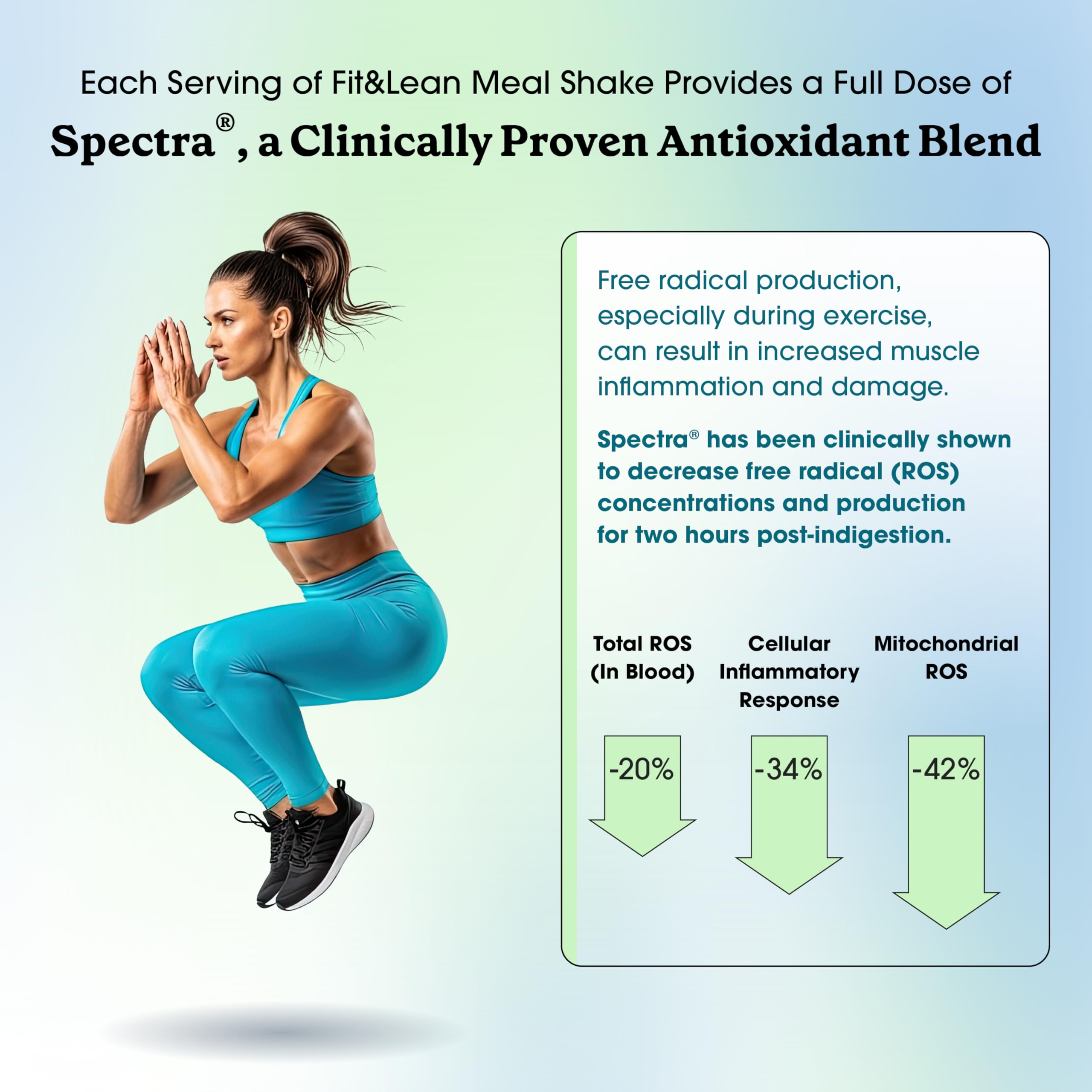 Fit & Lean Meal Replacement Shake ingredients list