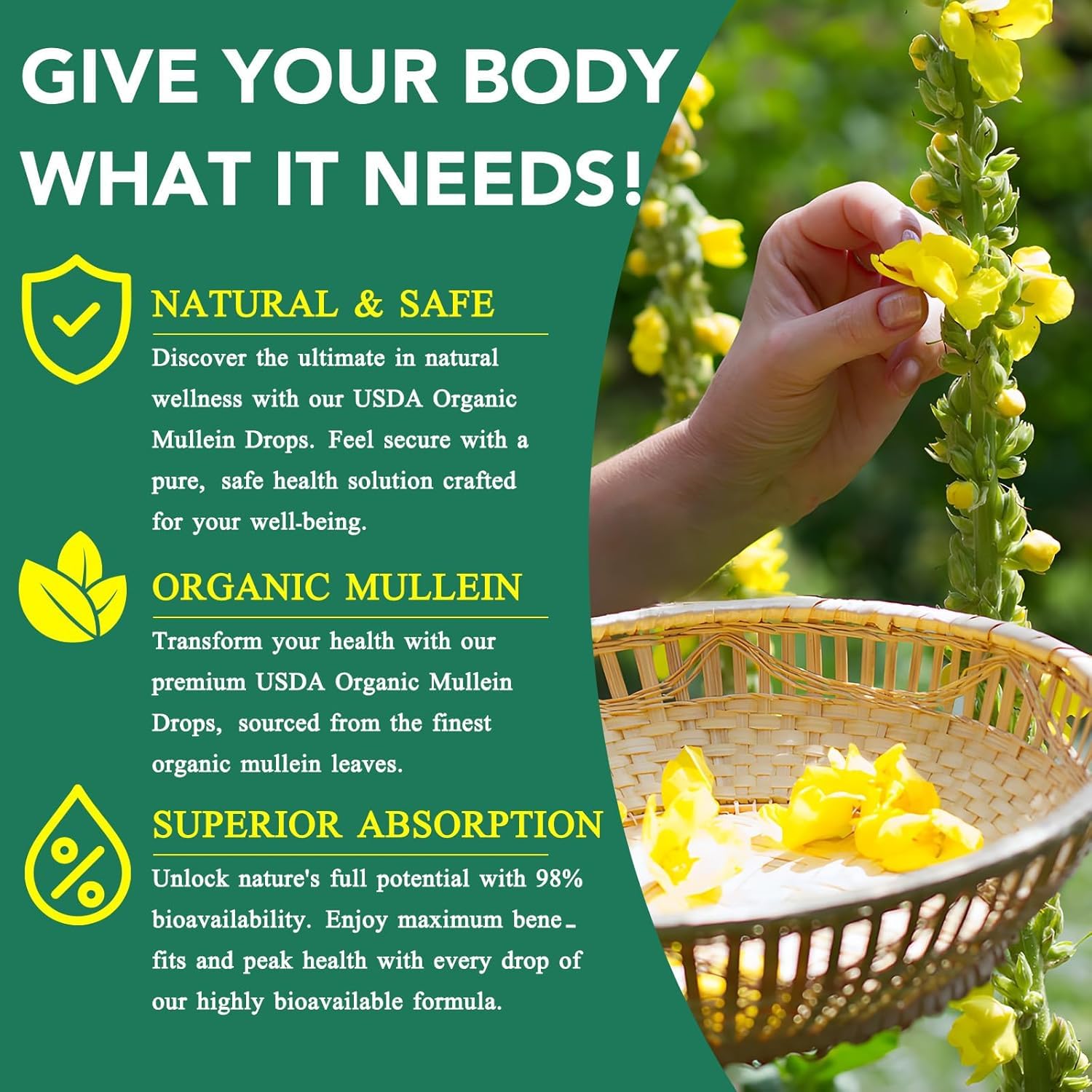 FITactic Mullein Drops ingredients list on packaging