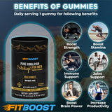 FITBOOST Pure Himalayan Shilajit Gummies with a measuring spoon