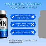 Fitfido 5-in-1 NAD+ Precursor Complex displayed with lifestyle items