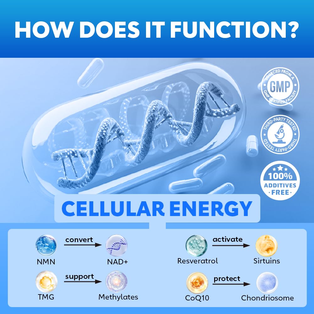 Fitfido 5-in-1 NAD+ Precursor Complex packaging with ingredients list