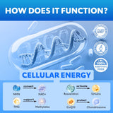 Fitfido 5-in-1 NAD+ Precursor Complex packaging with ingredients list
