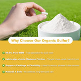 Fitfido MSM Supplement 1000mg capsules close-up