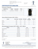 FitNoura Lactoferrin Supplement 300MG capsules in a hand
