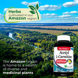 FITO MEDIC'S Acetyl-L-Carnitine capsule close-up