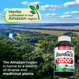 FITO MEDIC'S Burdock Root Organic Capsules 12000mg back label