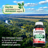 FITO MEDIC'S Cayenne Pepper Capsules 600mg capsules in hand