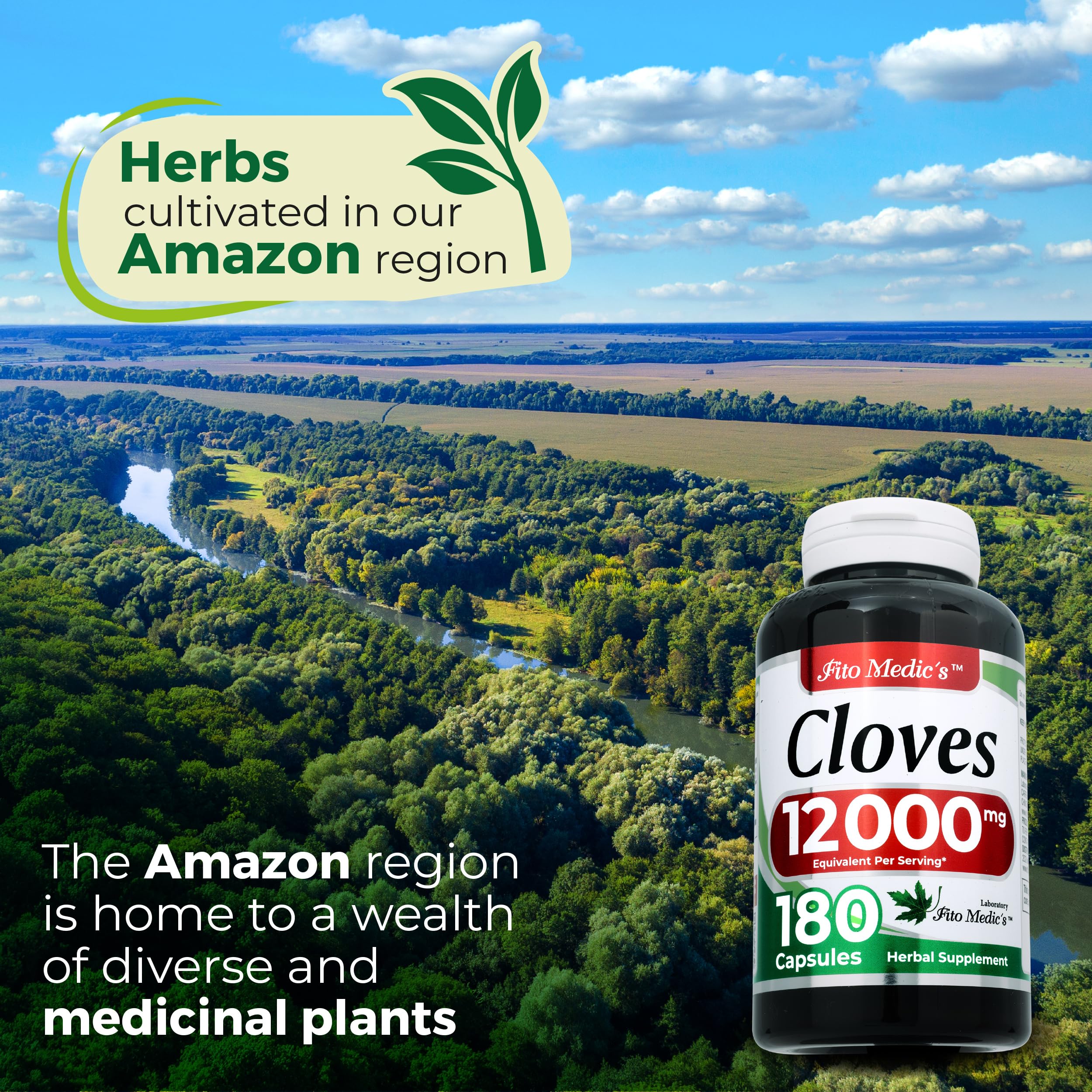 FITO MEDIC'S Cloves 600 mg Capsules close-up of capsules