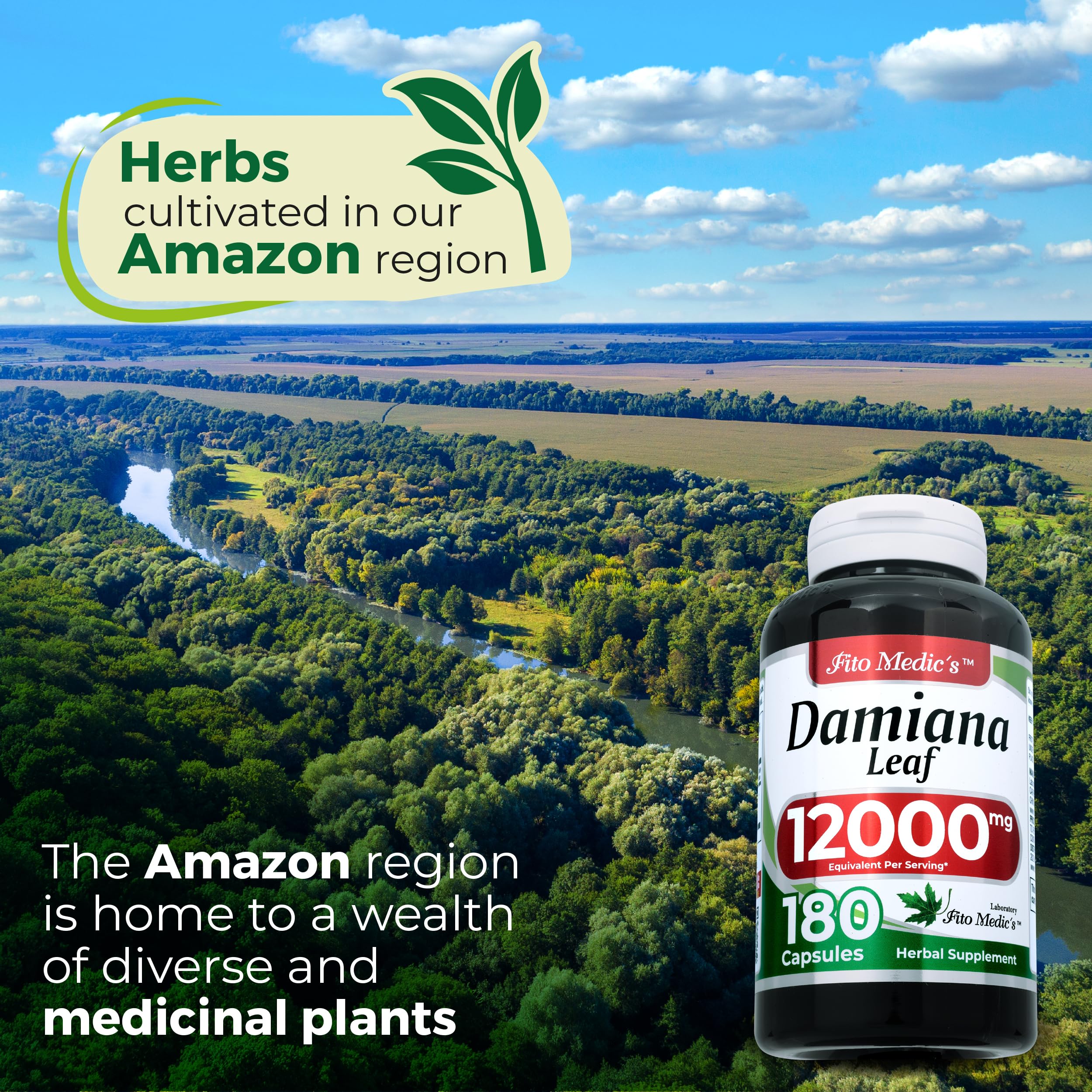 FITO MEDIC'S Damiana Leaf Extract Capsules 600mg close-up of capsules