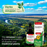 FITO MEDIC'S Dandelion Root Tincture back view with ingredients list
