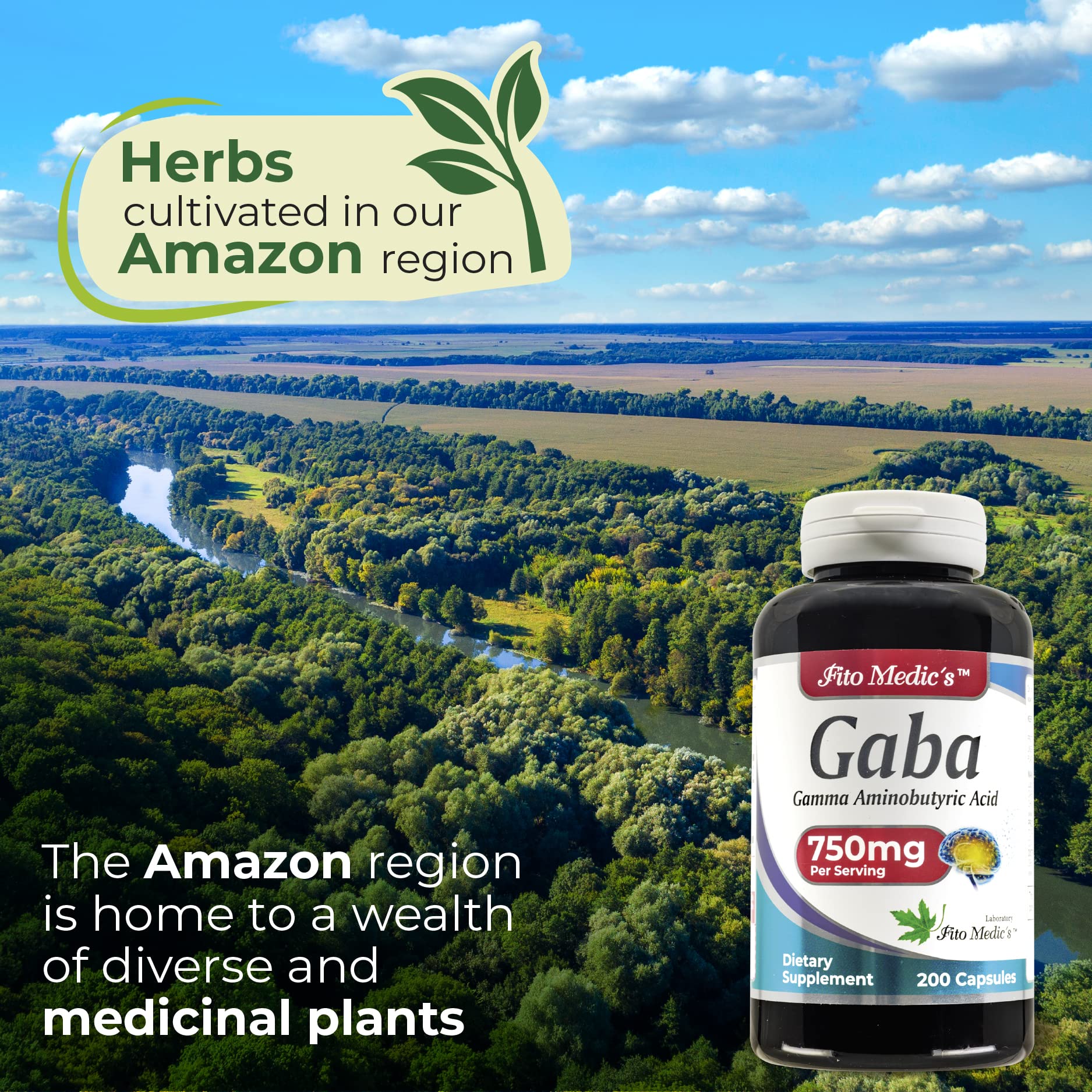 FITO MEDIC'S Gaba supplement label details