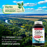 FITO MEDIC'S Gaba supplement label details