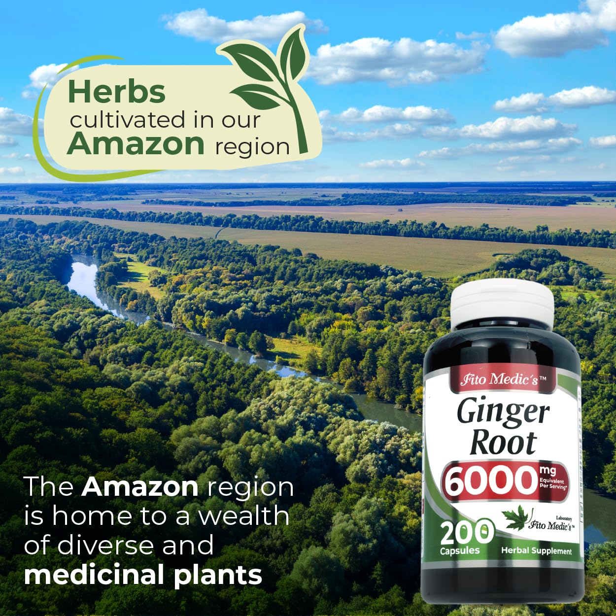FITO MEDIC'S Ginger Root Capsules close-up of capsules