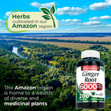 FITO MEDIC'S Ginger Root Capsules close-up of capsules