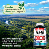 FITO MEDIC'S HMB 240 Capsules with fitness accessories
