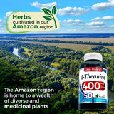 FITO MEDIC'S L-Theanine Capsules back view with ingredient list