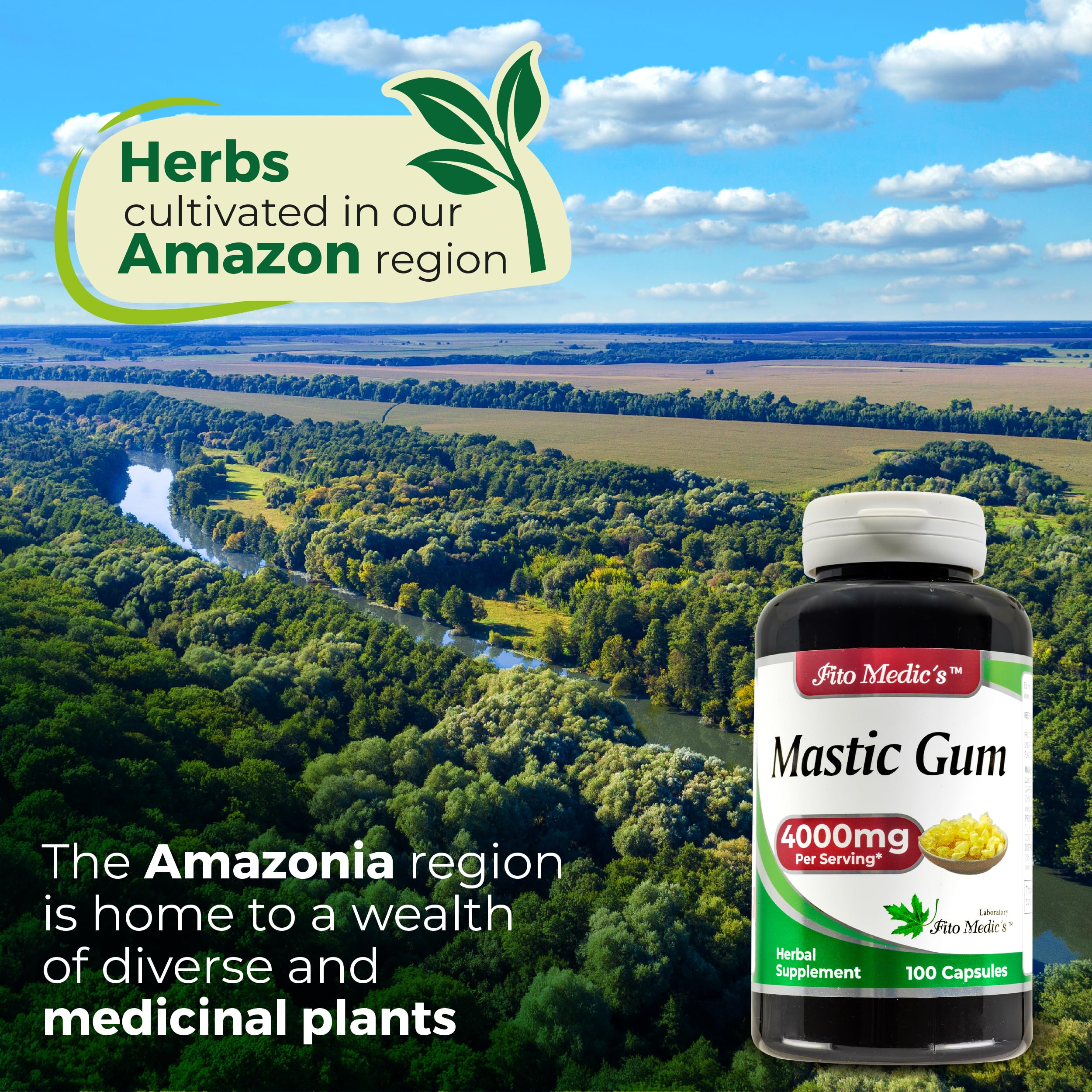 FITO MEDIC'S Mastic Gum Capsules 400mg on a table
