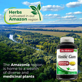 FITO MEDIC'S Mastic Gum Capsules 400mg on a table