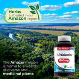 FITO MEDIC'S Methionine 1200mg supplement bottle with cap on a white background