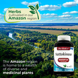 FITO MEDIC'S Nattokinase capsule bottle side view