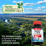 FITO MEDIC'S PQQ bottle with dosage information on the label
