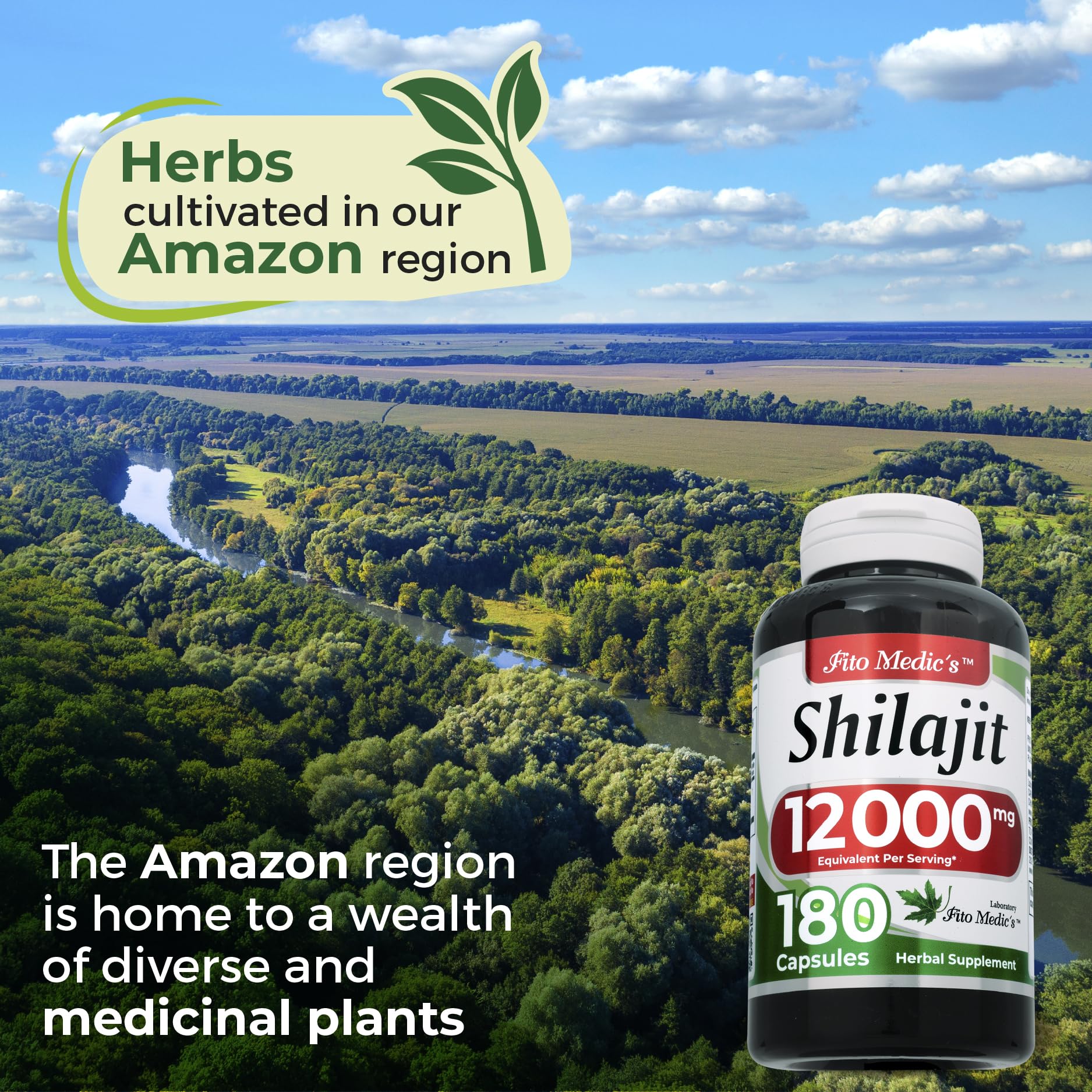 FITO MEDIC'S Shilajit Capsules arranged on a wooden table