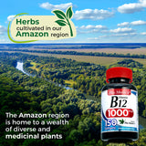 FITO MEDIC'S Vitamin B12 Supplement on a wooden table