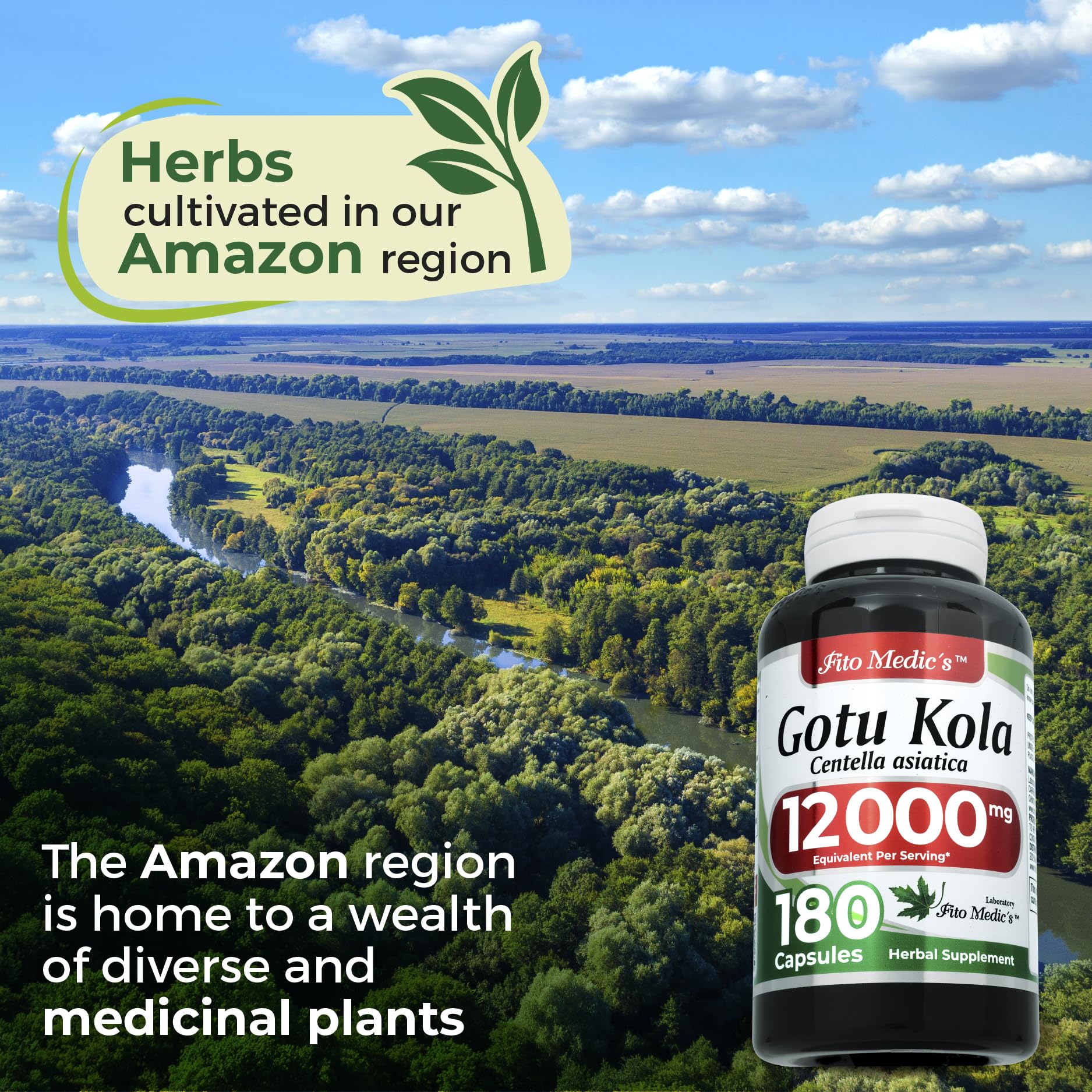 Fito Medics Gotu Kola bottle with dosage details