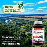 FITOMEDIC'S Blueberry Extract 300mg bottle side view