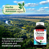 FITOMEDIC'S Chrysin with Passion Flower capsules in hand