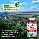 FITOMEDIC'S St. John's Wort 600mg capsules bottle label