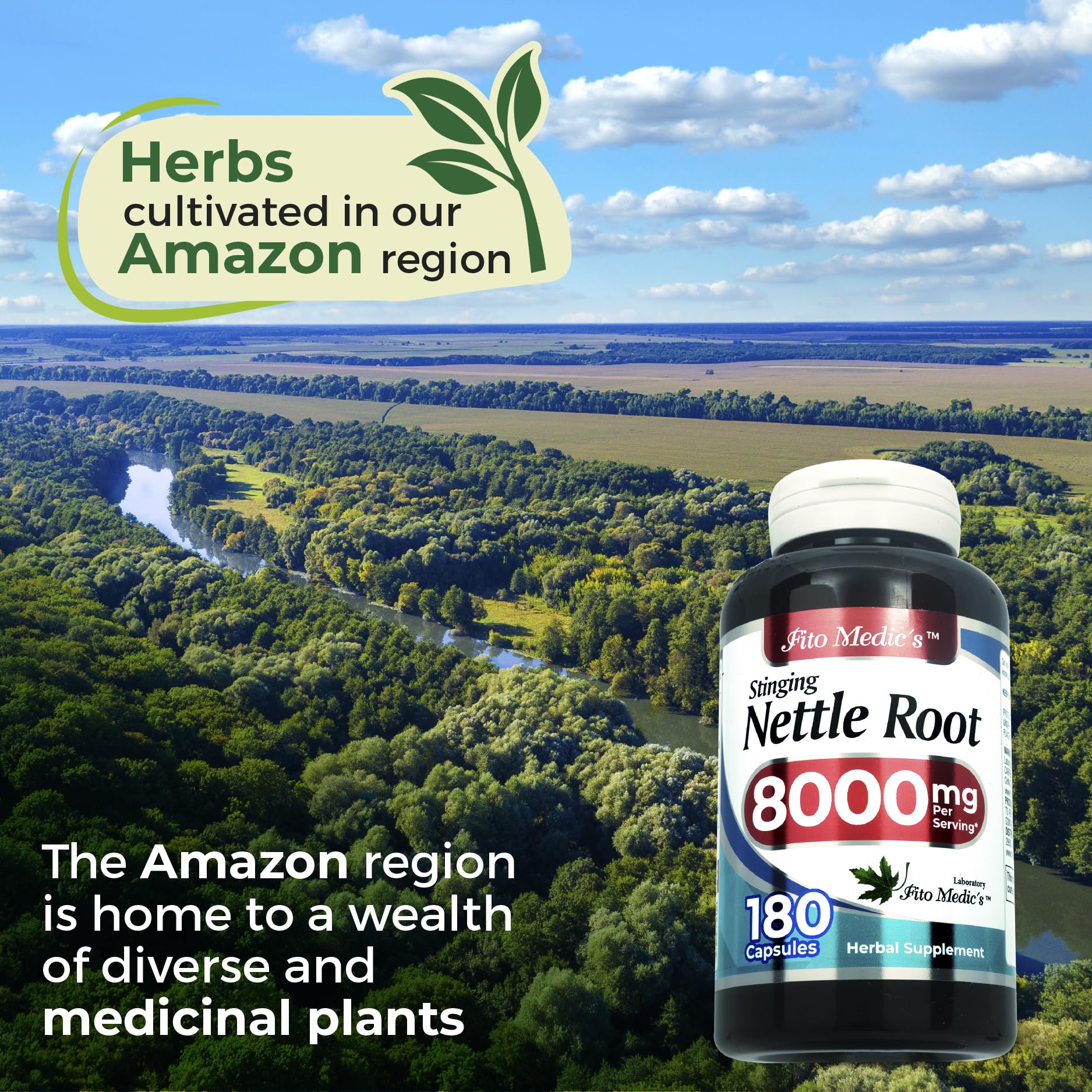 FITOMEDIC'S Stinging Nettle Root Extract capsules on a wooden table