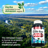 FITOMEDIC'S Stinging Nettle Root Extract capsules on a wooden table