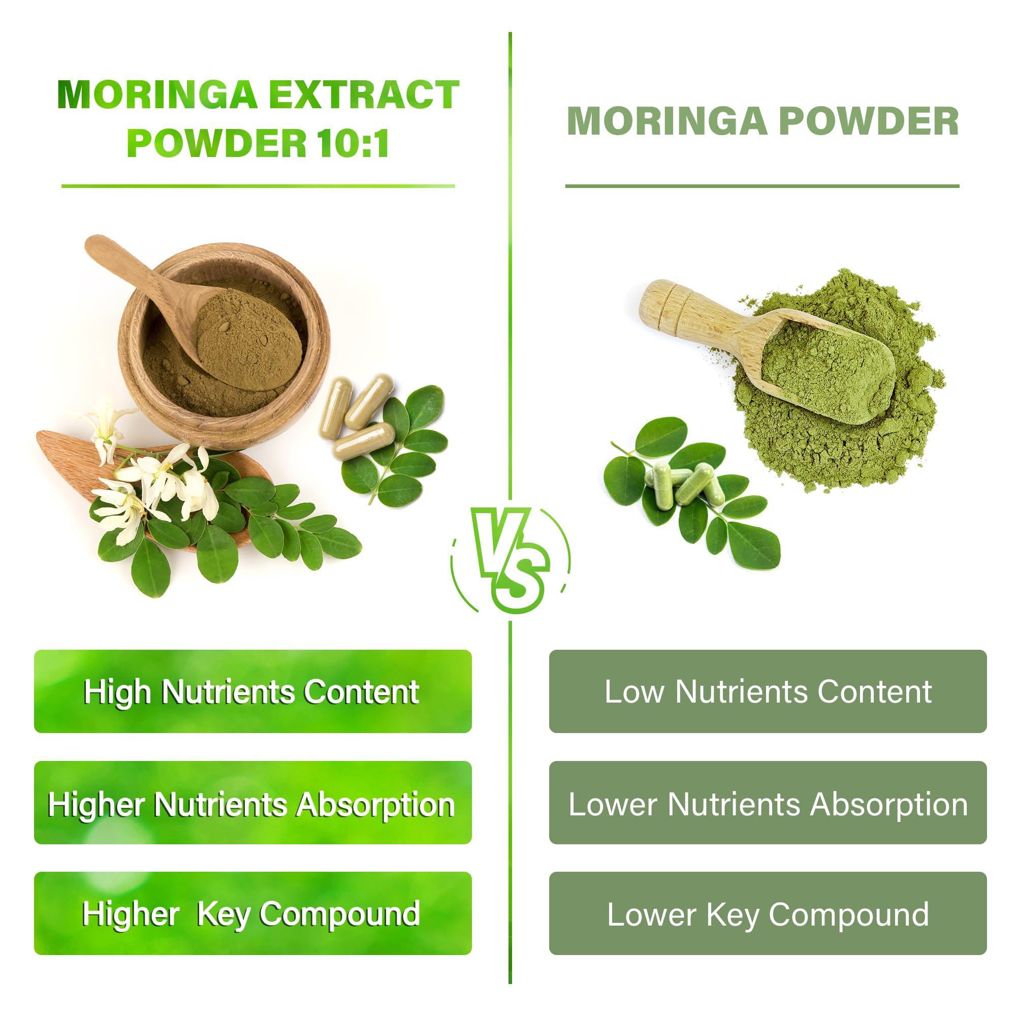 FitVitality Moringa Leaf Extract Capsules 1000mg bottle with label