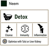 Flat lay of ORGANIC INDIA Neem Capsules with natural elements