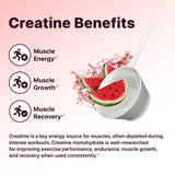 Flat Tummy Pre Workout Powder 240g scoop with powder
