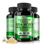 Fleamart Sea Moss Capsules bottle front view