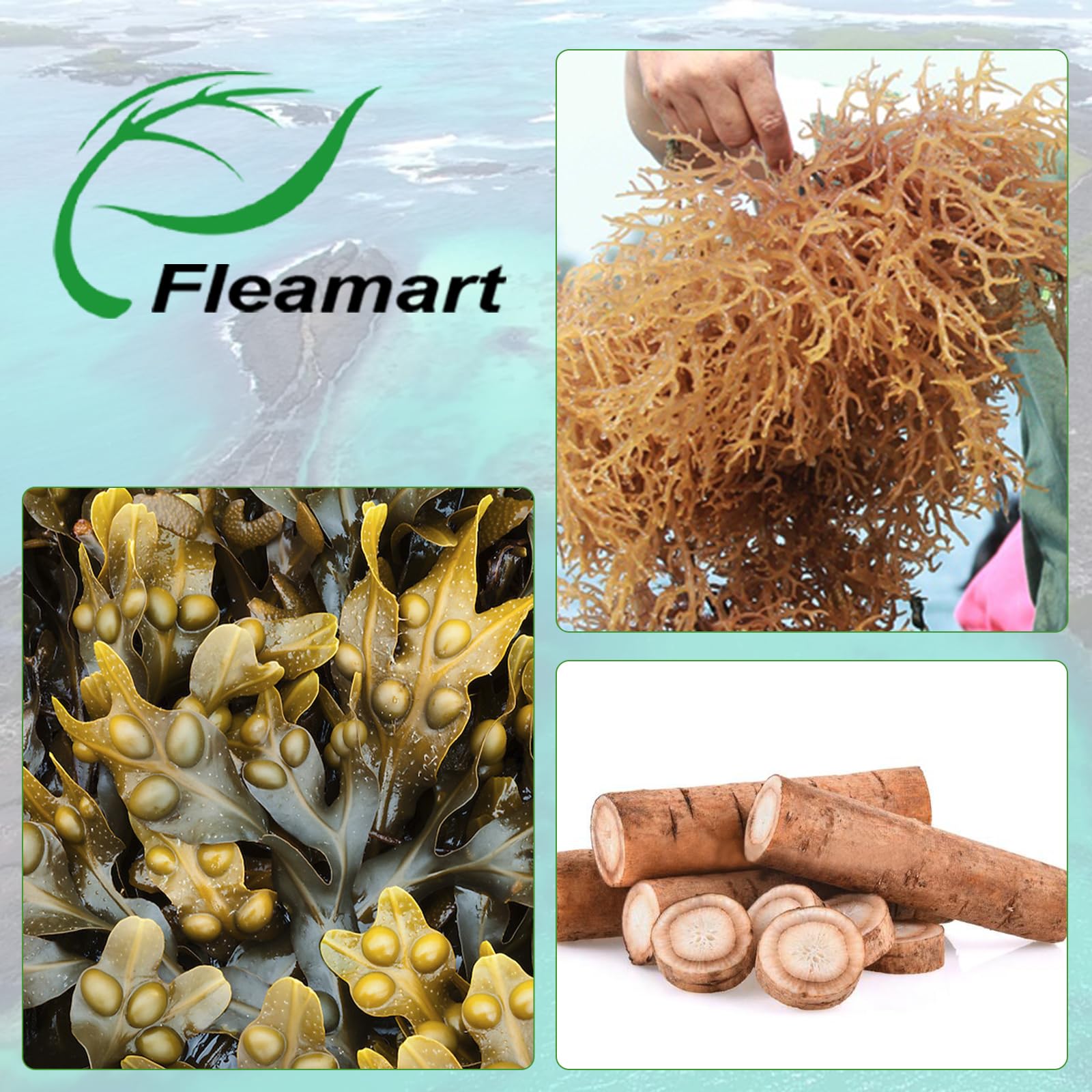 Fleamart Sea Moss Capsules packaging dimensions