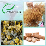 Fleamart Sea Moss Capsules packaging dimensions