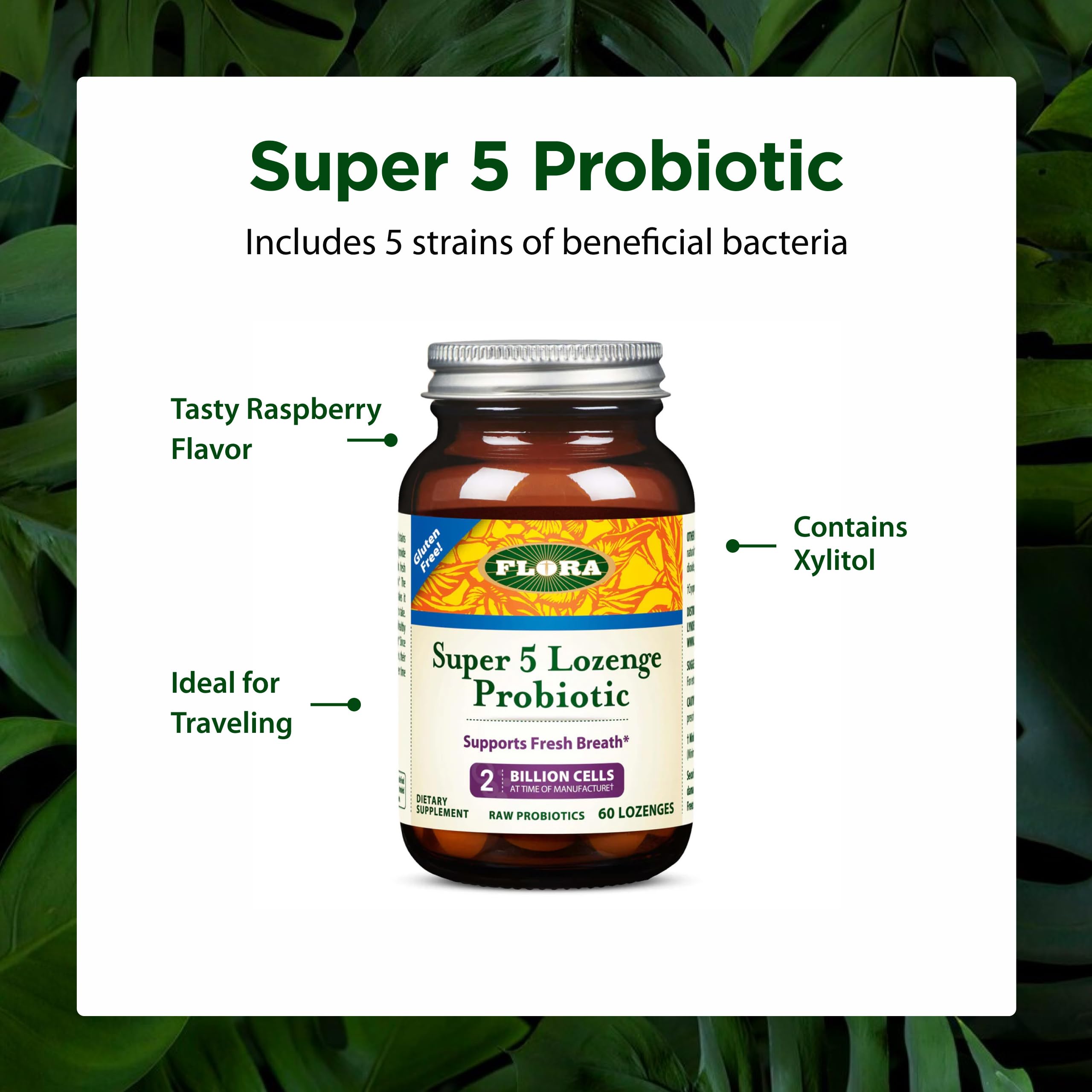 Flora Super 5 Probiotic Lozenges ingredients list