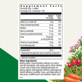 Floradix Iron & Vitamin Tablets back view showing ingredients