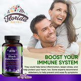 FLORIDA HERBS Black Elderberry Capsules open bottle with capsules