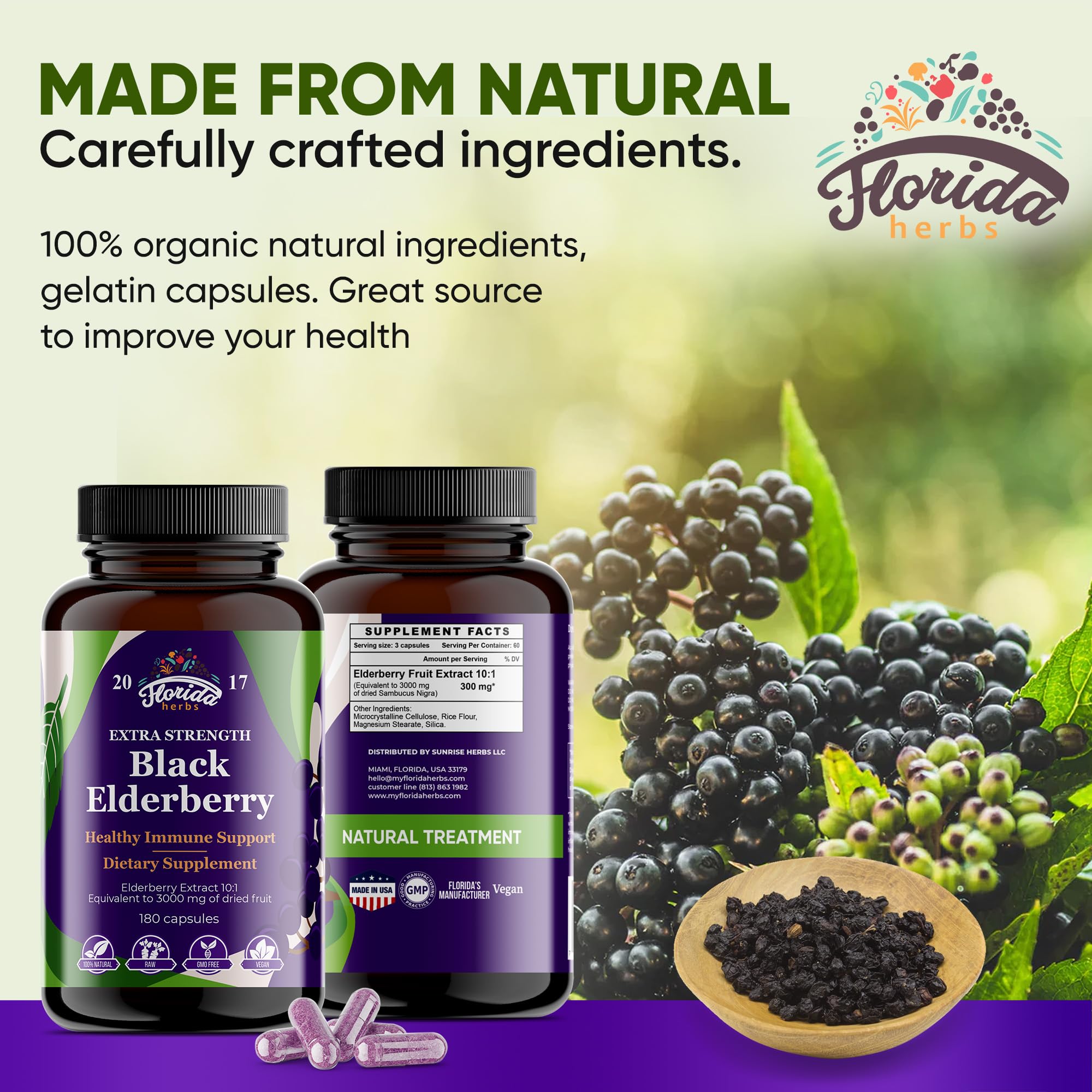 FLORIDA HERBS Black Elderberry Capsules side view showing label